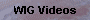 WIG Videos